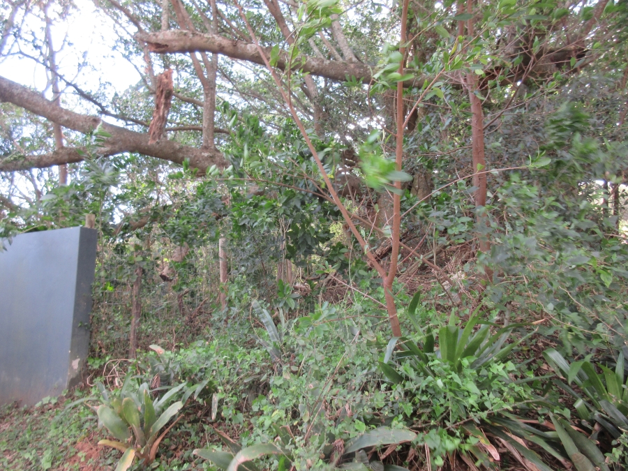 0 Bedroom Property for Sale in Bathurst Eastern Cape